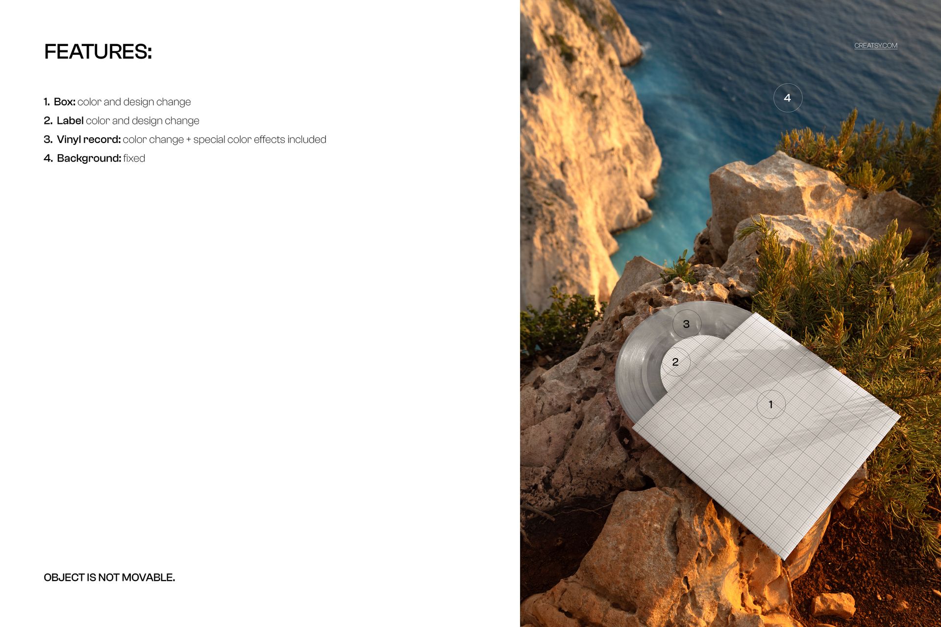 Translucent vinyl record mockup on a cliff edge, with a square sleeve and ocean visible in the background.