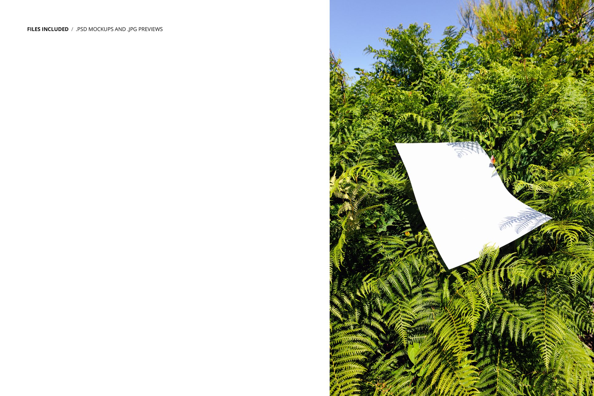 Poster mockup with a blank white sheet floating above dense green fern foliage, shown from a front angle outdoors.