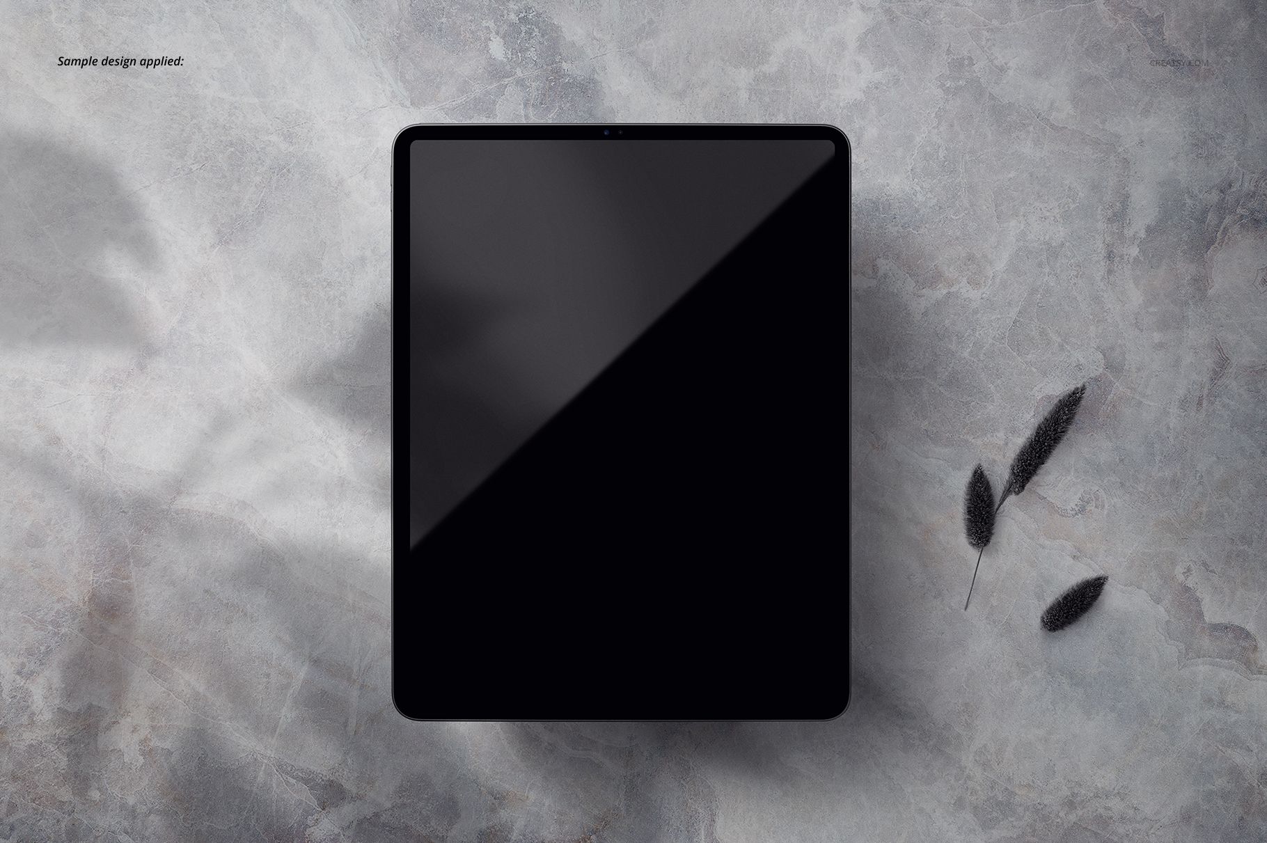 Front view of a black iPad Pro tablet mockup on a gray textured surface with two dark dried plants beside it.