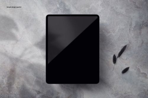 Front view of a black iPad Pro tablet mockup on a gray textured surface with two dark dried plants beside it.