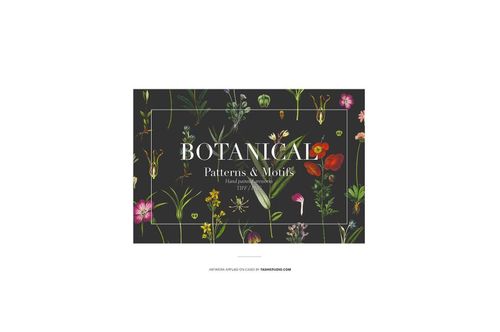 Front view of an iPhone 11 Pro clear case mockup featuring a botanical pattern with colorful flowers on a dark background.