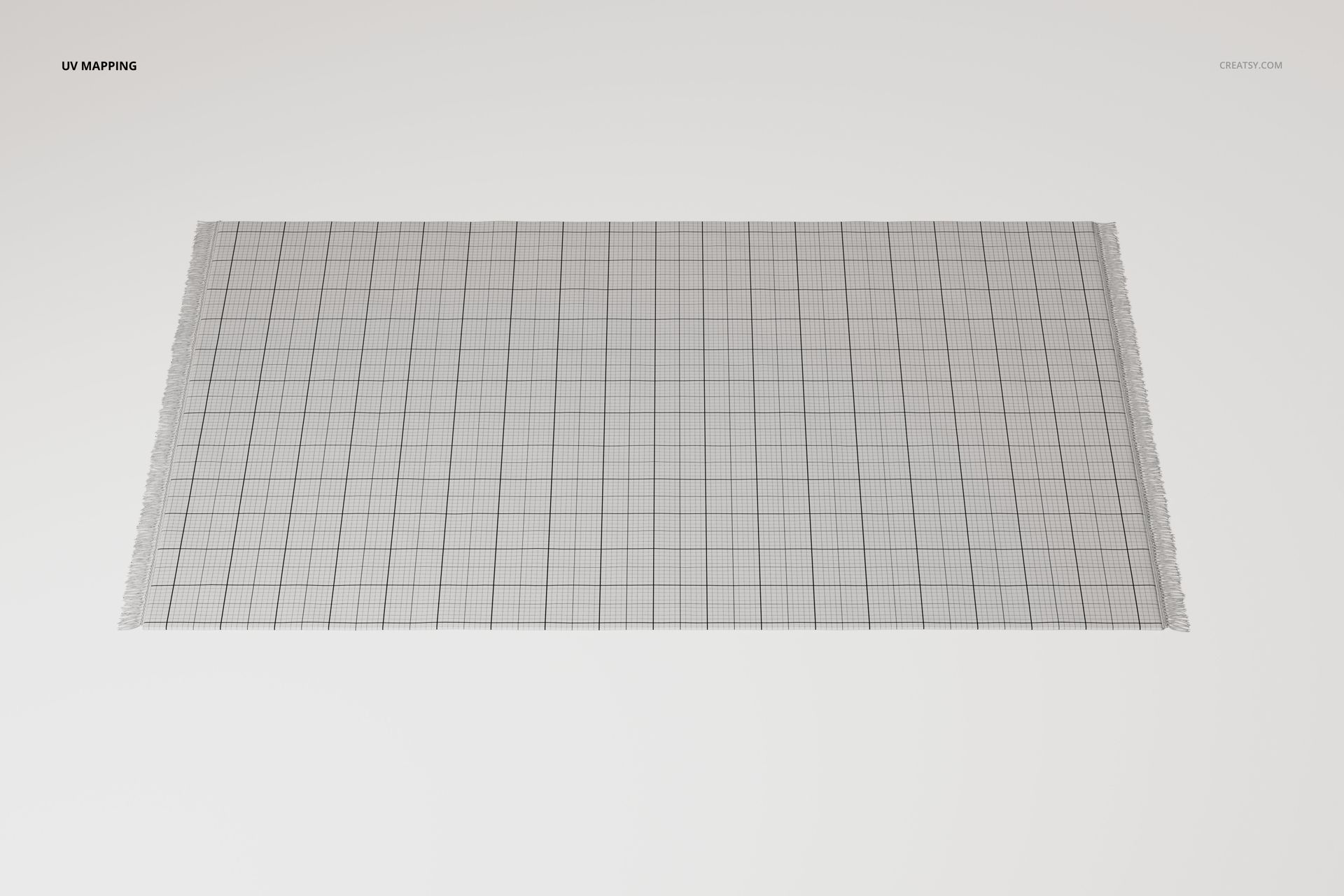 Large rectangular area rug with fringed edges, shown from a top view, featuring a grid pattern on a light background.
