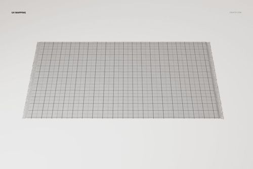 Large rectangular area rug with fringed edges, shown from a top view, featuring a grid pattern on a light background.