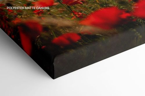 Mockup of a gallery wrap canvas print with a matte finish, displaying a soft-focus red and green floral artwork.