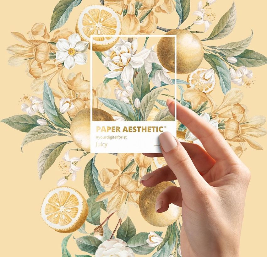 Hand holding a stationery mockup card with floral and citrus fruit illustrations on a yellow background, viewed from above.