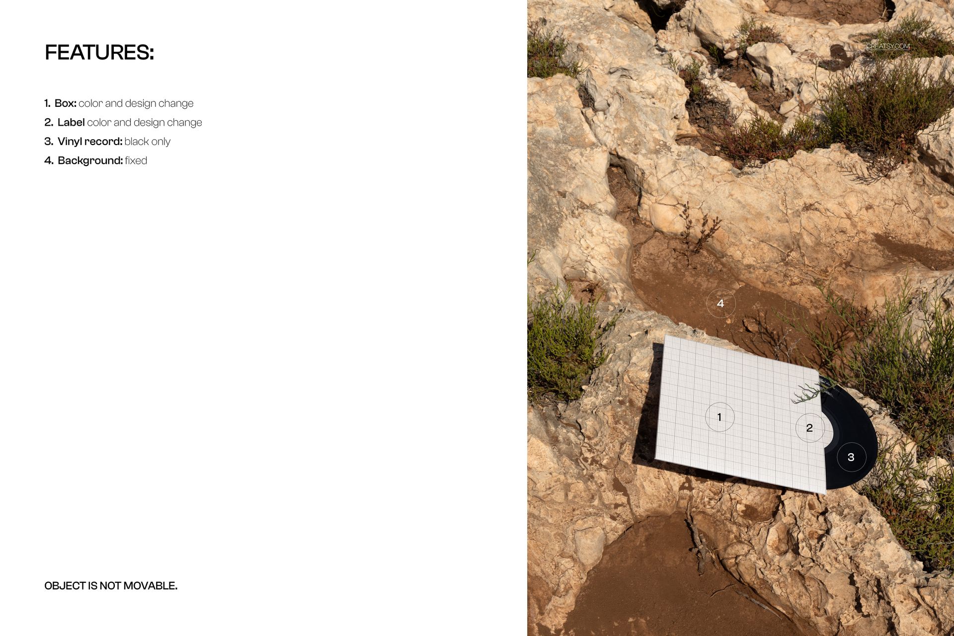Black vinyl record mockup with a grid label lying on rough stone outdoors, top view with natural shadows.