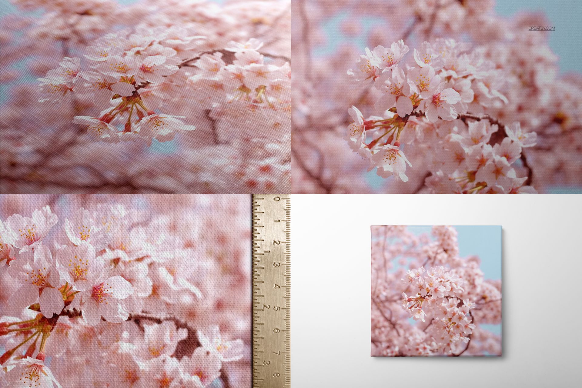 Canvas print mockup showing close-up views of pink cherry blossom flowers with textured surface and ruler for scale.
