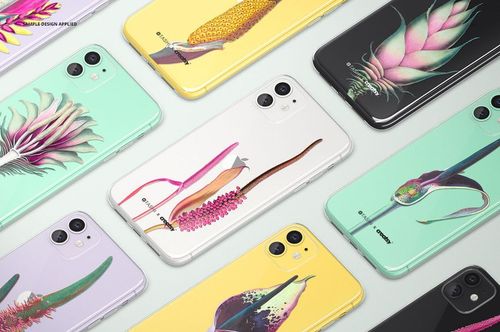 Top view of iPhone 11 clear case mockup set with various floral designs, displayed on a pale background.