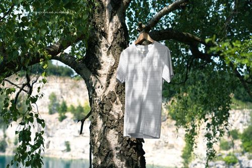 PSD mockup of a white t-shirt suspended from a birch tree, with sunlit foliage and a scenic outdoor background.