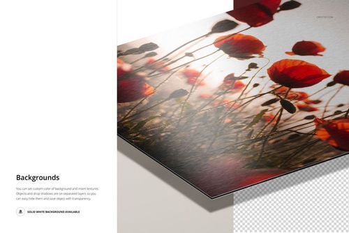 Close-up view of a Dibond aluminum print mockup featuring vibrant red poppy flowers on a brushed metal surface.