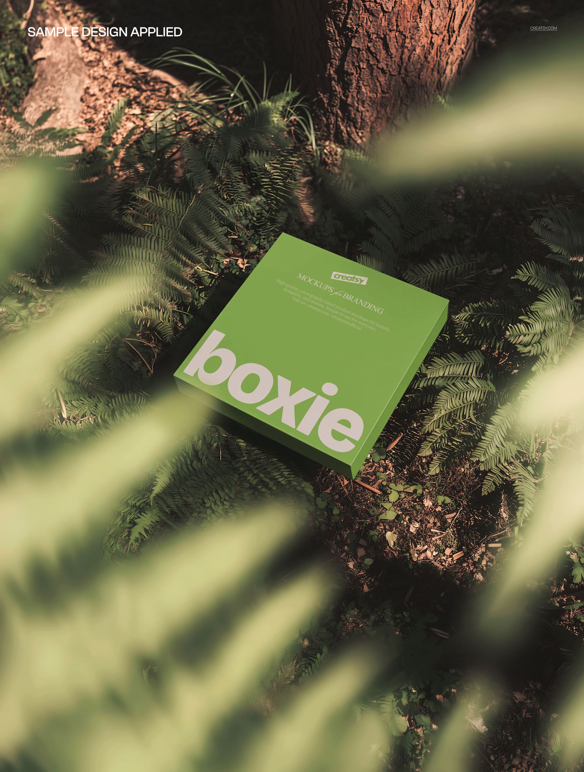 Square green packaging box mockup placed among lush forest ferns, viewed from above with sunlight and shadows.