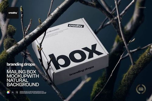 Rectangular mailing box mockup with bold black text, shown at an angle against a natural branch background.