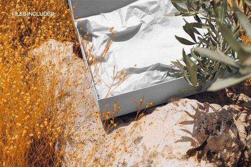 Rectangular gift box mockup with crumpled white tissue paper inside, set outdoors on a rocky surface among dry plants.