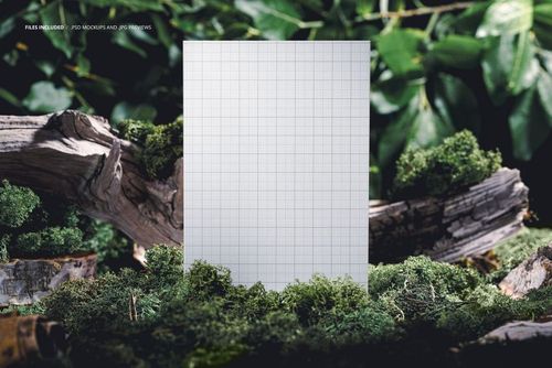 Stationery paper mockup featuring a grid sheet placed vertically amid moss and logs in a lush forest setting.