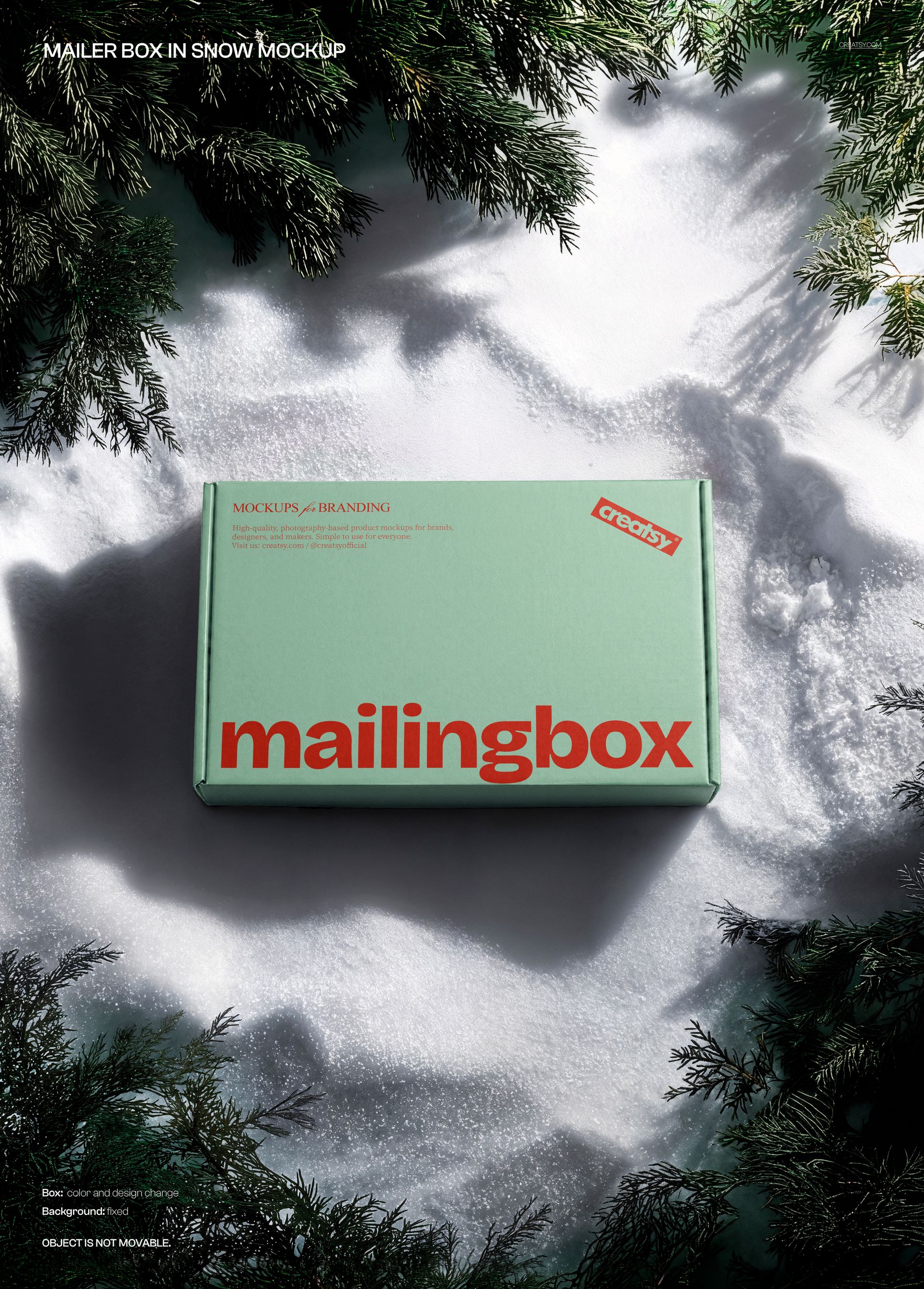 PSD mockup showing a rectangular mailing box in light green, centered on snow with fir branches framing the scene.