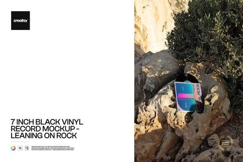 PSD mockup showing a black vinyl record and its bright cover propped against natural stone and greenery in sunlight.