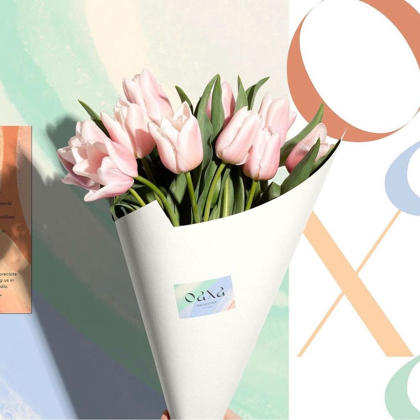 Oaxa Collection by Fatimughart - Files in Use example