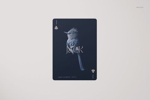 Single playing card mockup featuring a dark blue background and a detailed bird illustration, shown from the front.