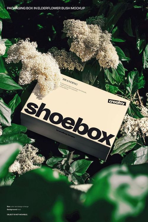 Rectangular shoebox mockup with bold black text placed among green leaves and white elderflower blossoms, top view.