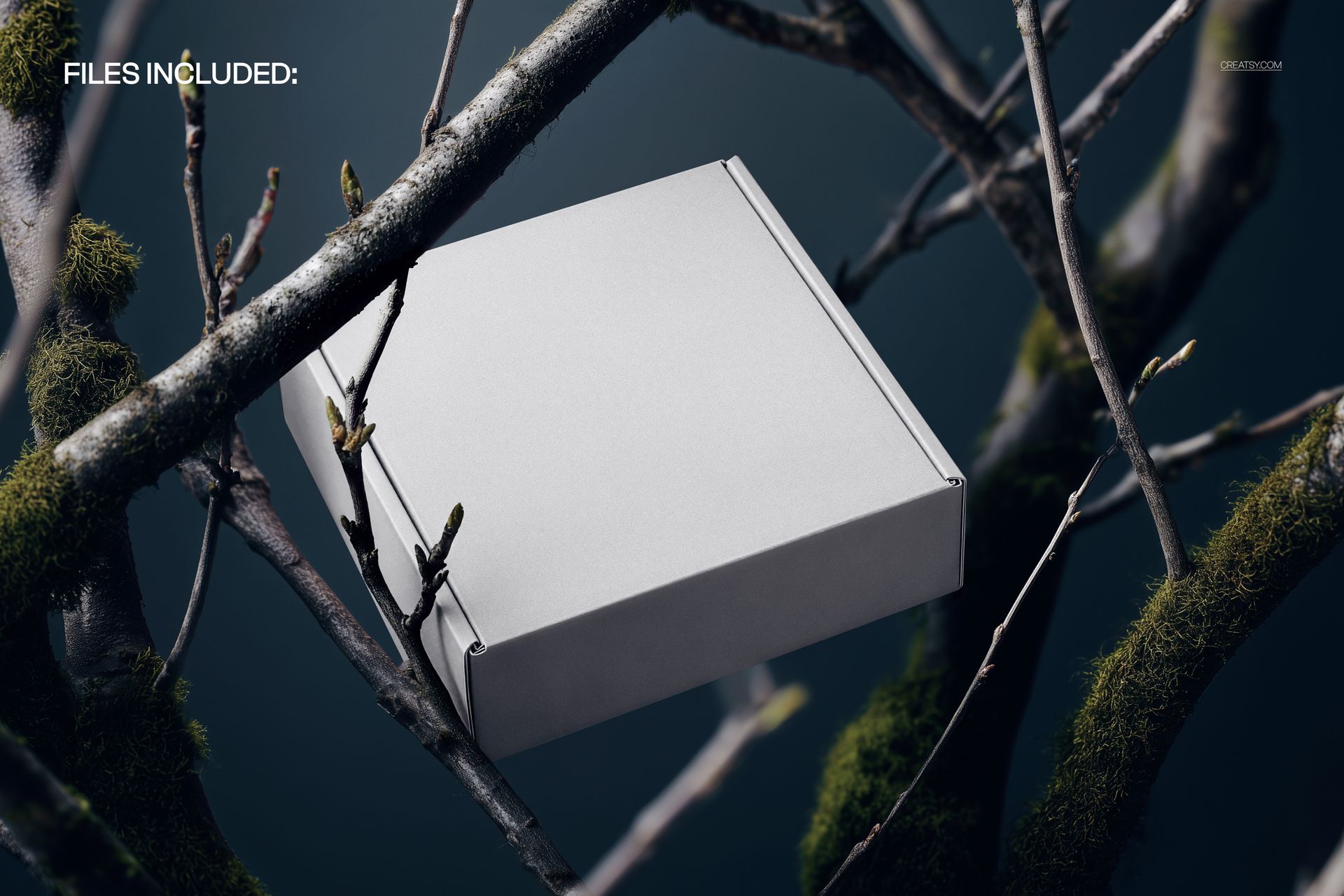 Plain mailing box mockup resting on intertwined tree branches with moss, viewed from a front angle against a dark background.