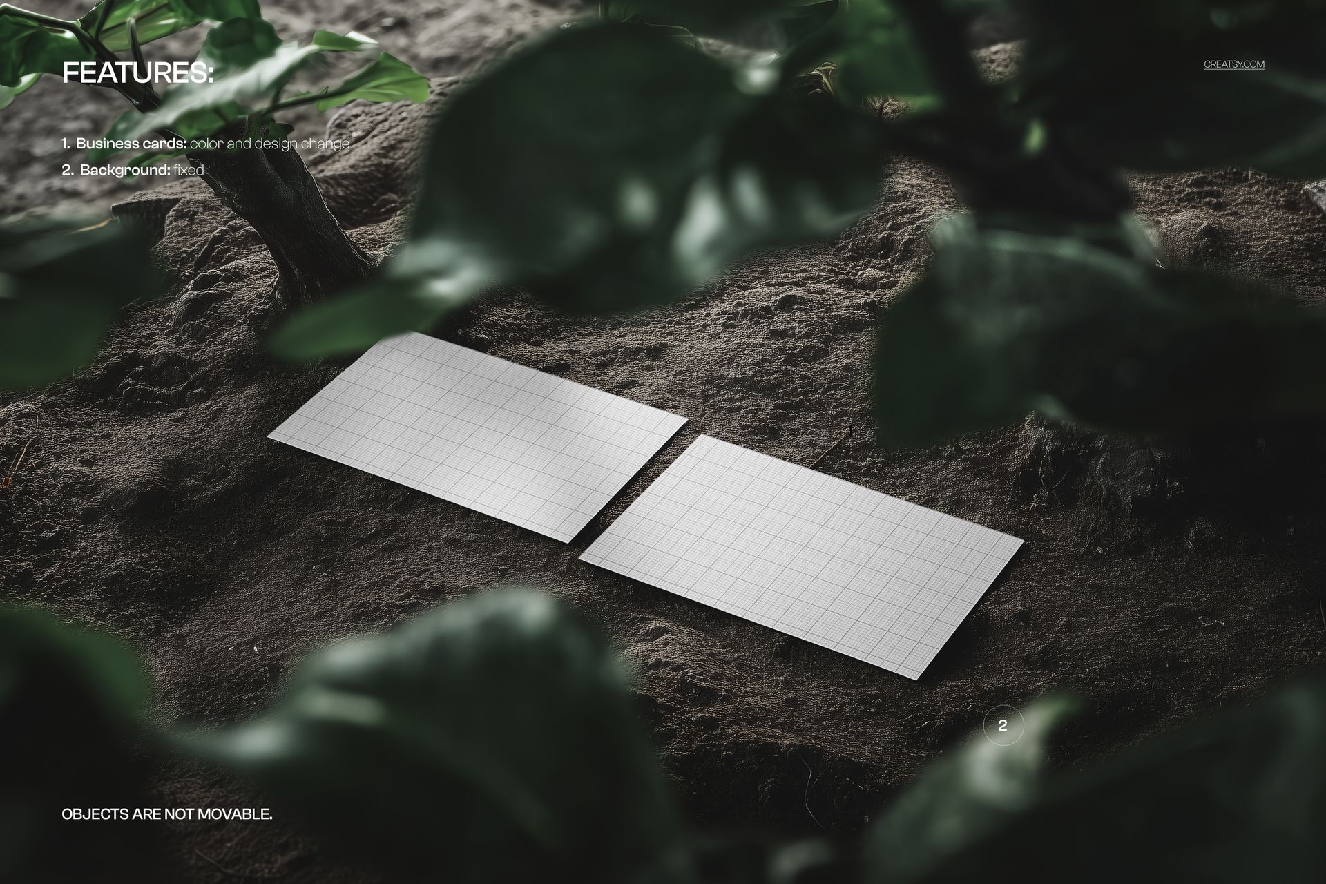 Business cards mockup featuring two blank cards with grid design placed on earthy ground and leafy plants overhead.