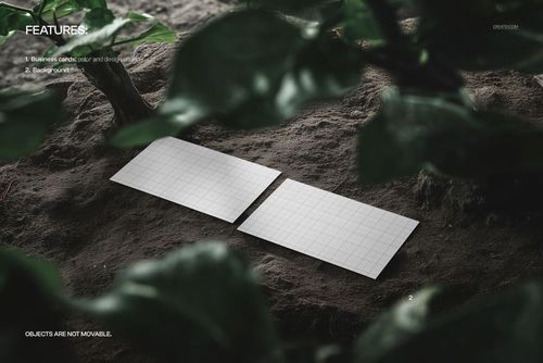 Business cards mockup featuring two blank cards with grid design placed on earthy ground and leafy plants overhead.