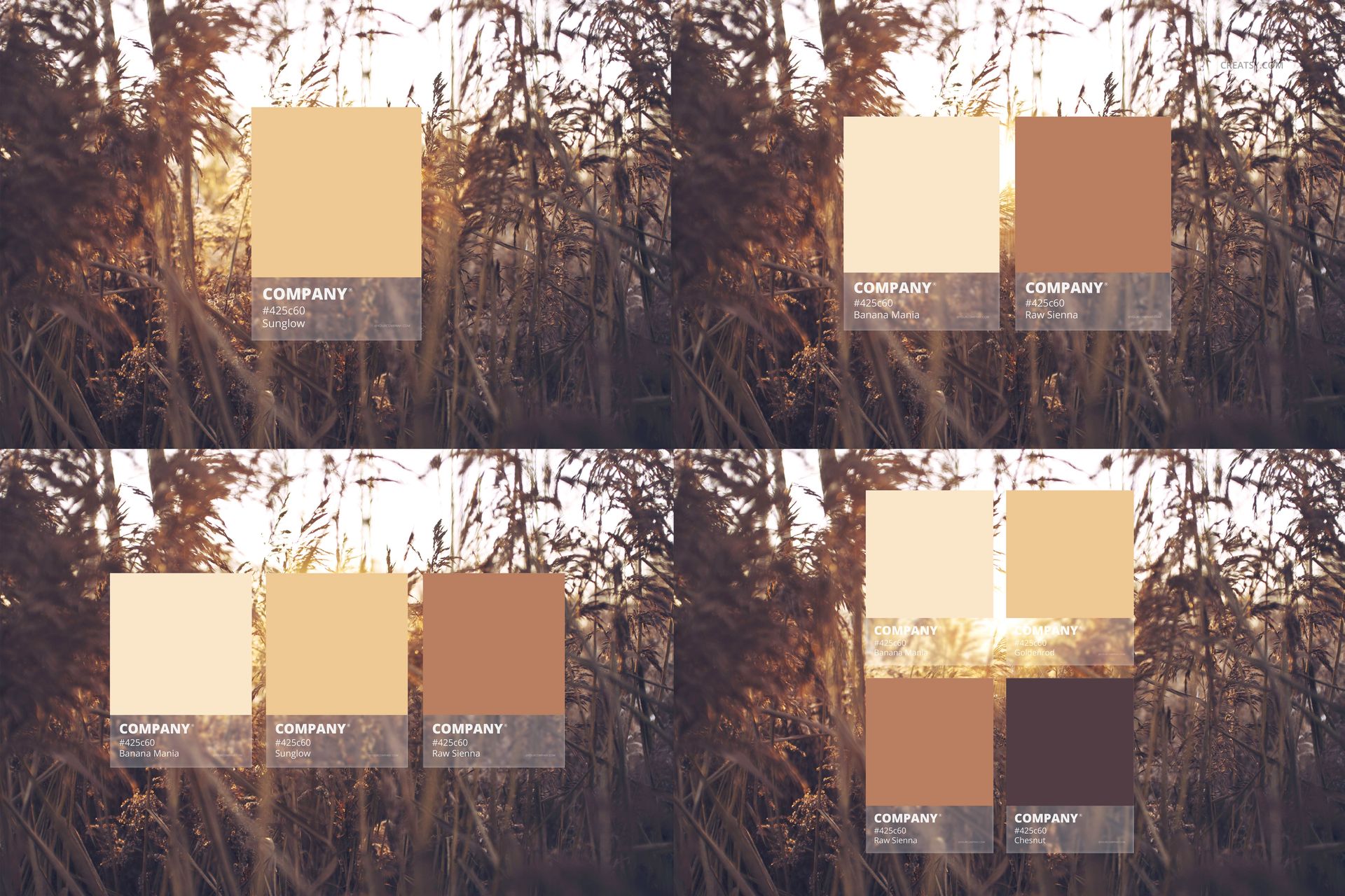 Color Match Mockup Set - mockup screenshot 9