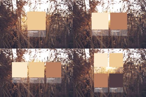 Color swatch mockup featuring multiple beige and brown cards arranged in pairs over a sunset field background.