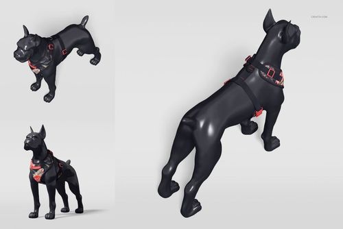 Dog mannequin in a harness mockup, featuring floral patterns and red straps, displayed from multiple perspectives.