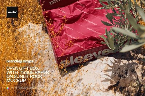 Packaging mockup featuring an open box lined with red tissue paper, set outdoors on a bright stone with wild plants.