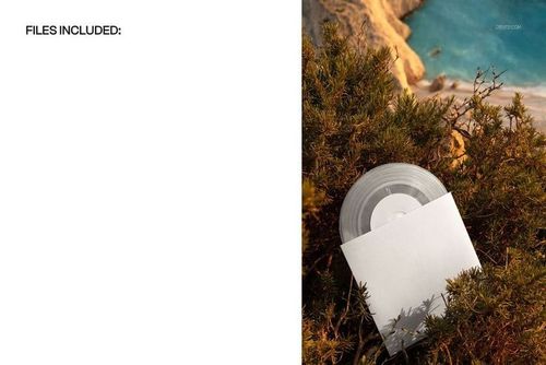 7 inch translucent colored vinyl record mockup in greenery, with the record in a white sleeve near seaside cliffs.