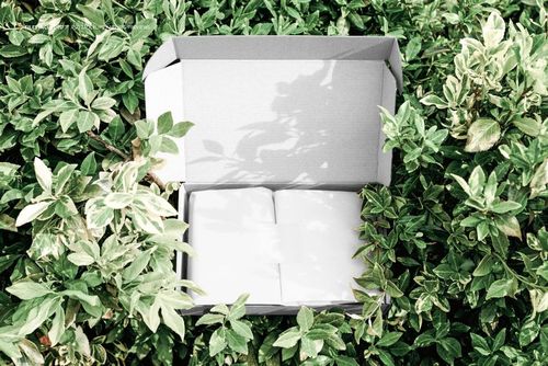 Rectangular mailing box mockup with open lid, displayed among dense green bush leaves, top view perspective.