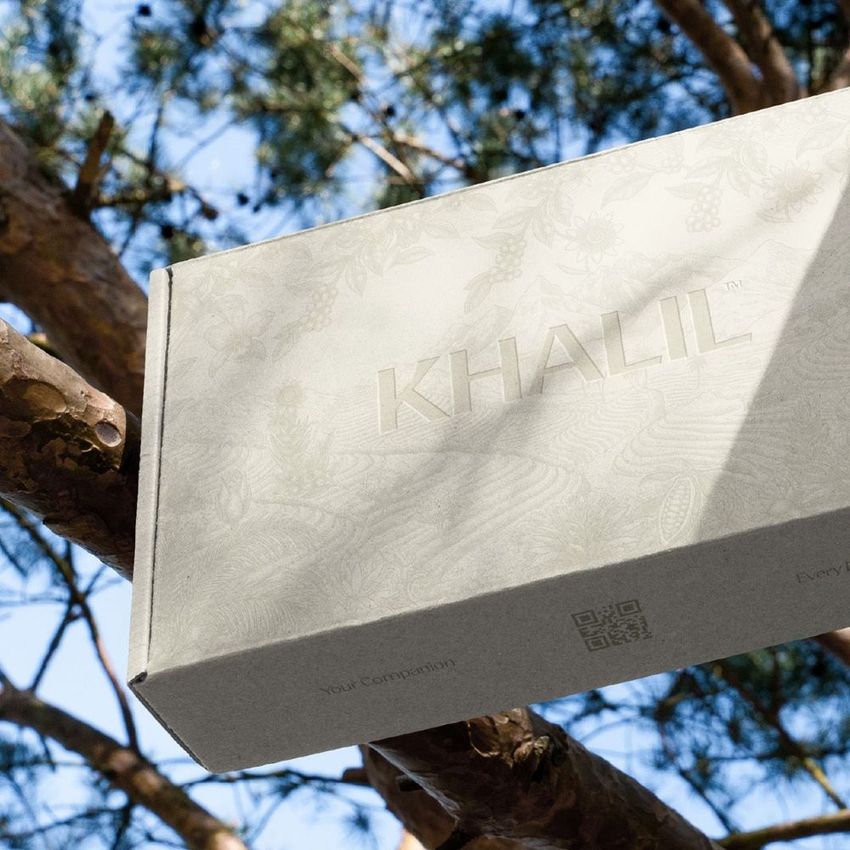 Mailing box mockup resting on a tree branch, featuring subtle floral patterns and light beige tones under natural sunlight.