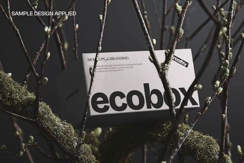 Paper packaging box mockup displayed on tree branches with green moss, showing front and side view, neutral lighting.
