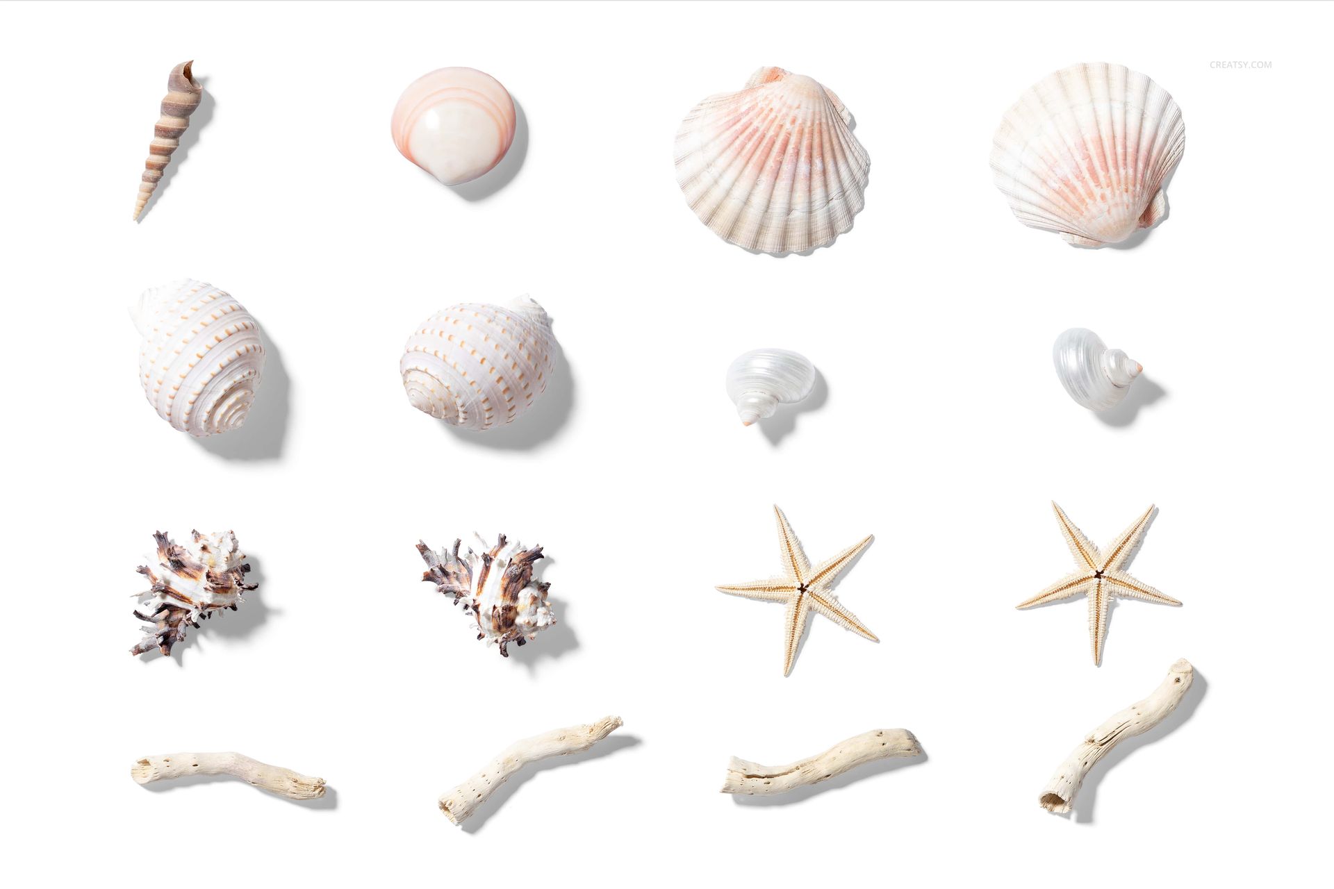 High-resolution mockup featuring ocean-themed objects including shells, starfish, coral, and driftwood, all spaced evenly.