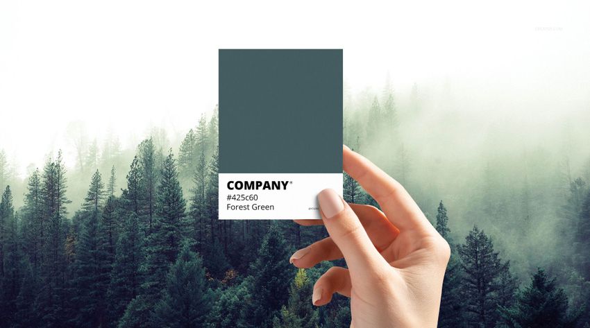 What is Pantone Color?