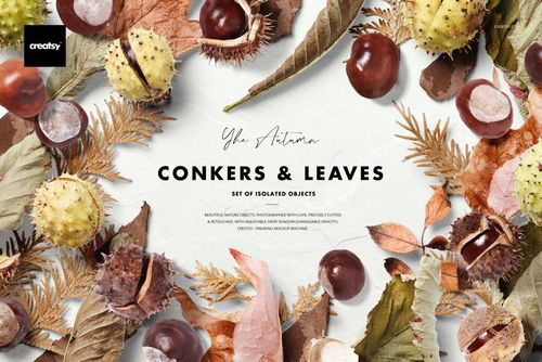 PSD mockup showing a collection of realistic conkers and fall leaves with natural drop shadows on a light background.