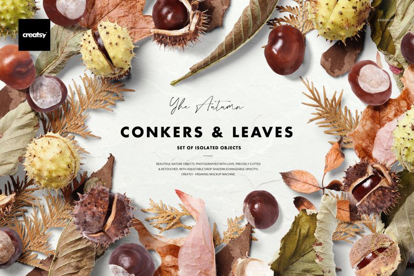 PSD mockup showing a collection of realistic conkers and fall leaves with natural drop shadows on a light background.
