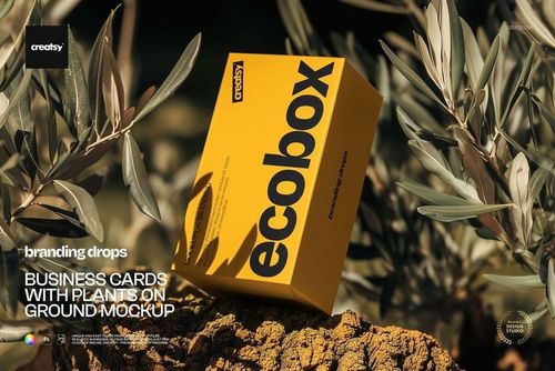 Yellow packaging box mockup resting on textured stone, surrounded by leafy branches in natural sunlight.