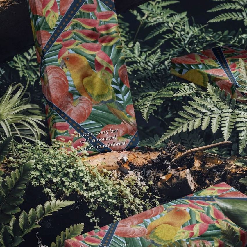 Chocolate box mockup featuring tropical bird and foliage artwork, placed among real ferns and moss in a forest setting.