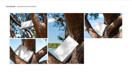 Rectangular mailing box mockup displayed in various angles, positioned between branches of a large tree outdoors.