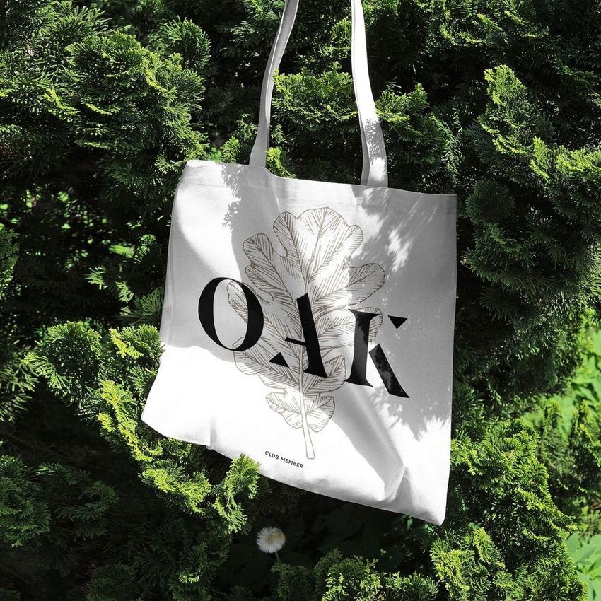 OAK Club  by Laura Jane Boast - Files in Use example