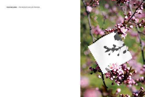 White fabric sample mockup placed on blooming cherry blossom branch, showing delicate pink petals and greenery.