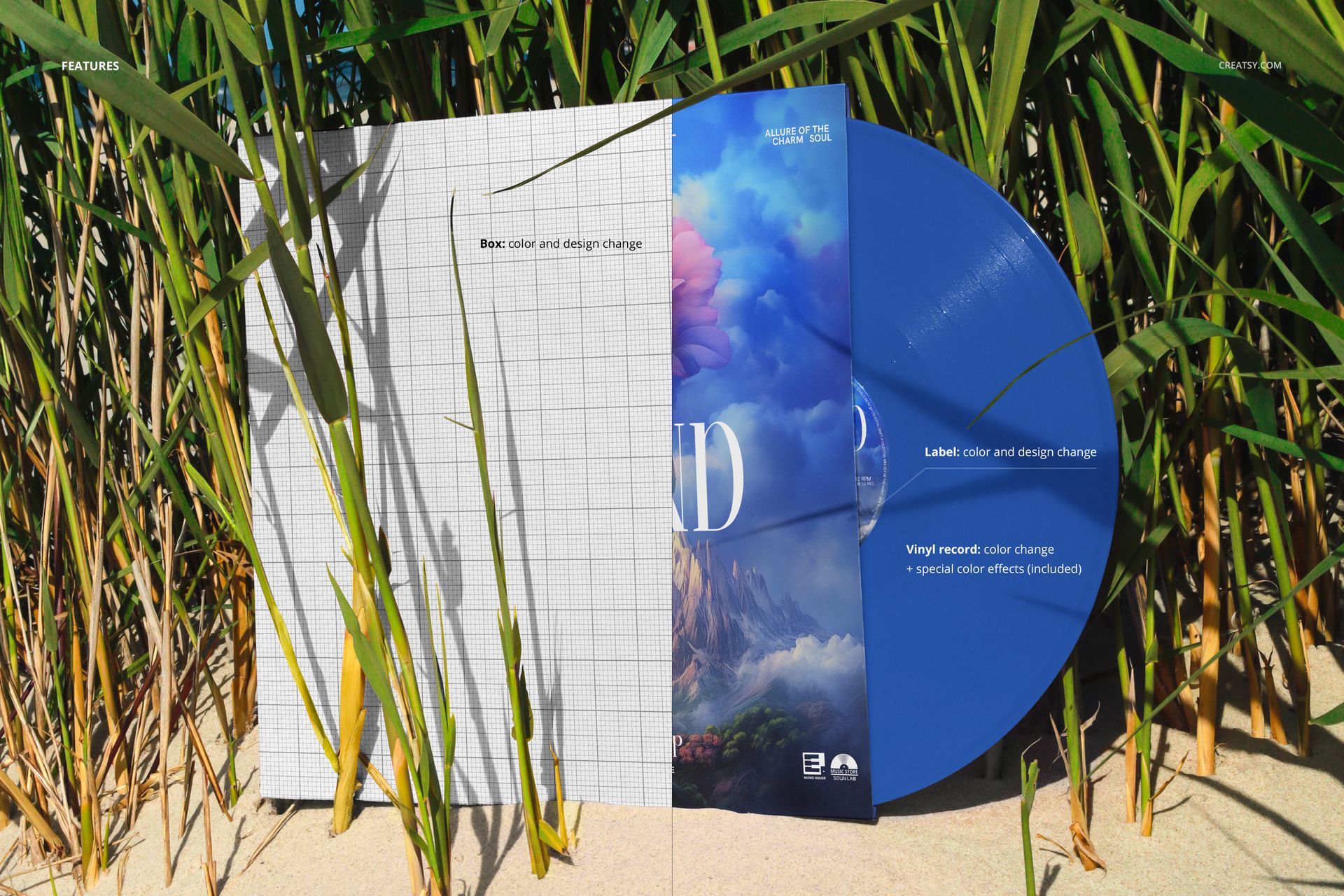 Vinyl record album mockup showing a blue disc and illustrated cover set in natural reeds and sand outdoors.