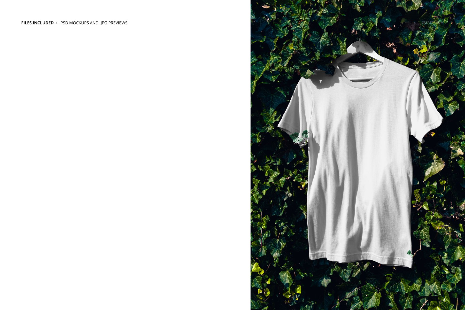 Plain white short-sleeve t-shirt displayed on a hanger with leafy ivy backdrop, PSD mockup, straight-on perspective.