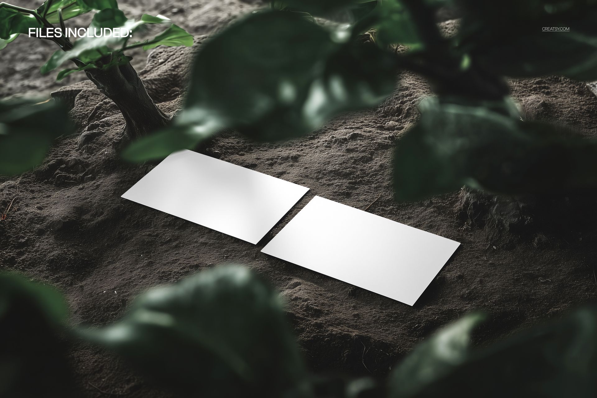 PSD mockup showing two empty business cards on dirt, encircled by leafy plants, captured in a realistic setting.