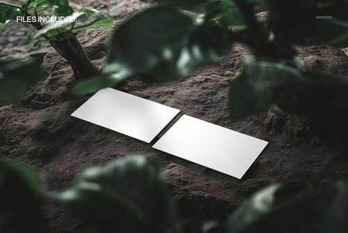 PSD mockup showing two empty business cards on dirt, encircled by leafy plants, captured in a realistic setting.
