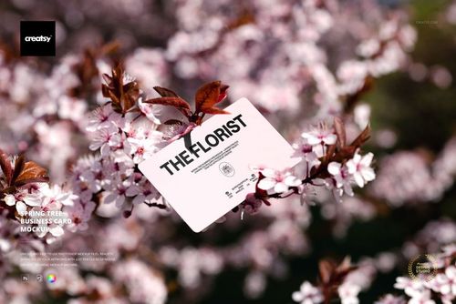 Light pink business card mockup displayed on flowering branches with white and pink blossoms in a natural setting.