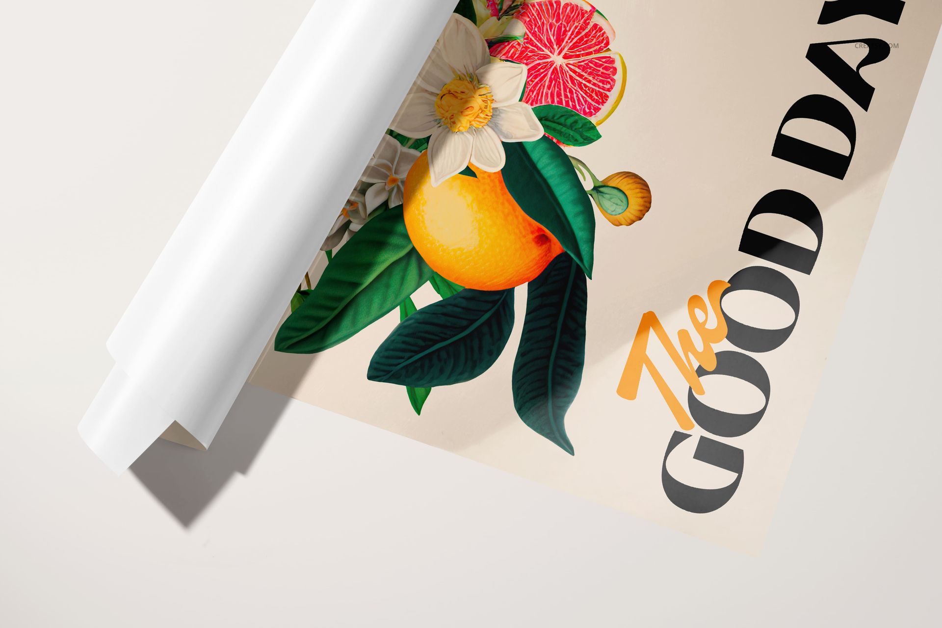 Glossy PVC poster mockup featuring rolled white edges and vibrant fruit and floral artwork on a light background.
