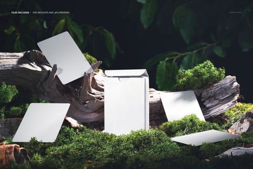 Nature inspired playing cards mockup featuring blank cards and box on mossy wood with a forest background.